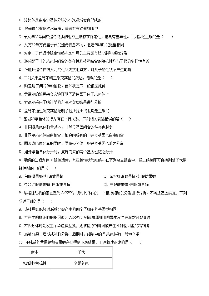 湖南省衡阳市衡阳县第二中学2023-2024学年高一下学期4月期中生物试题（原卷版+解析版）02