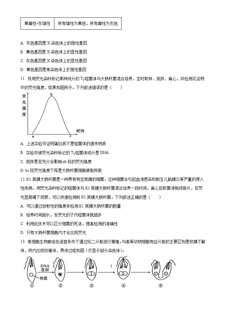 湖南省衡阳市衡阳县第二中学2023-2024学年高一下学期4月期中生物试题（原卷版+解析版）03
