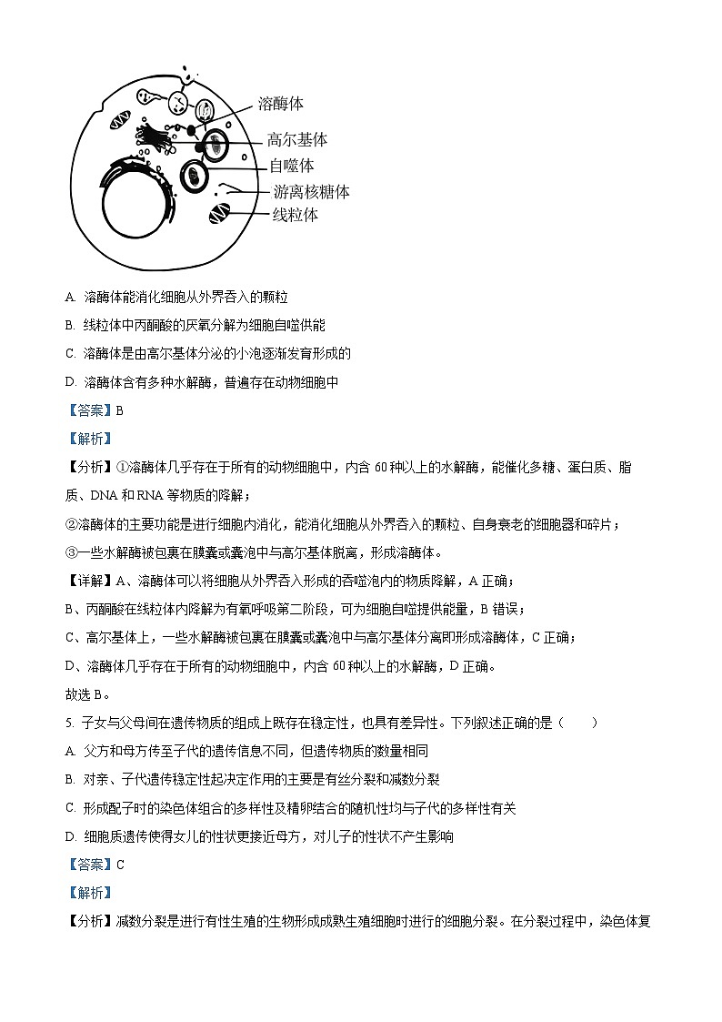 湖南省衡阳市衡阳县第二中学2023-2024学年高一下学期4月期中生物试题（原卷版+解析版）03