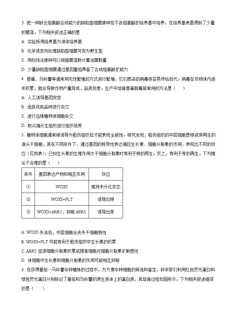 山东省临沂市河东区2023-2024学年高二下学期期中考试生物试题（原卷版）第2页