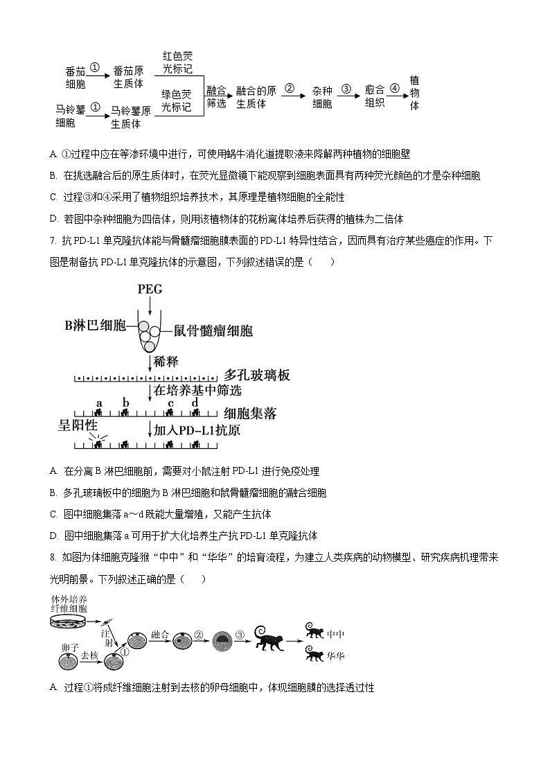 山东省临沂市河东区2023-2024学年高二下学期期中考试生物试题（原卷版）第3页