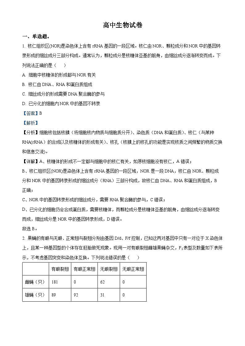 山东省泰安市泰山国际学校2023-2024学年高一下学期期中联考生物试卷（原卷版+解析版）01