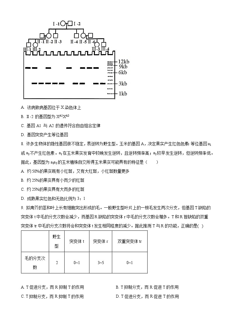 山东省泰安市泰山国际学校2023-2024学年高一下学期期中联考生物试卷（原卷版+解析版）03