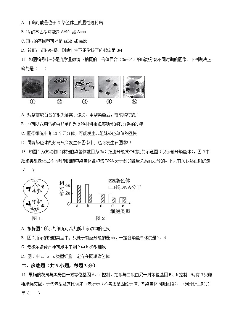 山西省大同市浑源县第七中学校2023-2024学年高一下学期期中考试生物试题（原卷版+解析版）03