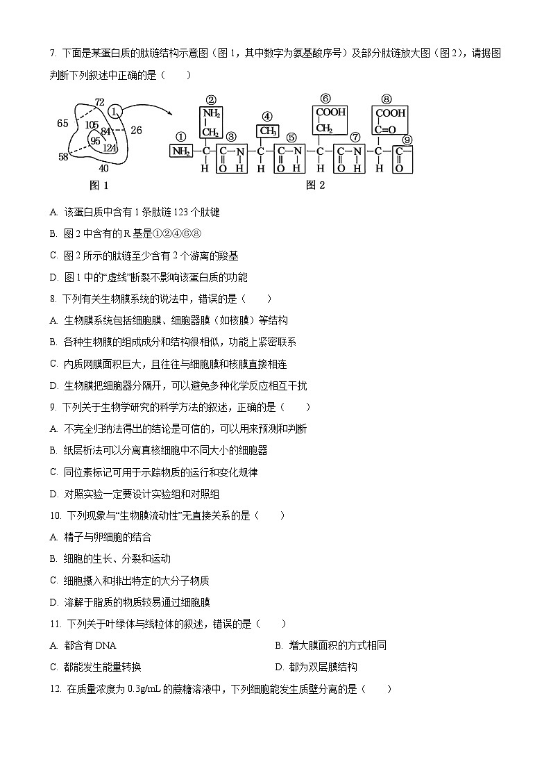 四川省德阳市外国语学校2023-2024学年高一上学期期末考试生物试题（原卷版+解析版）02