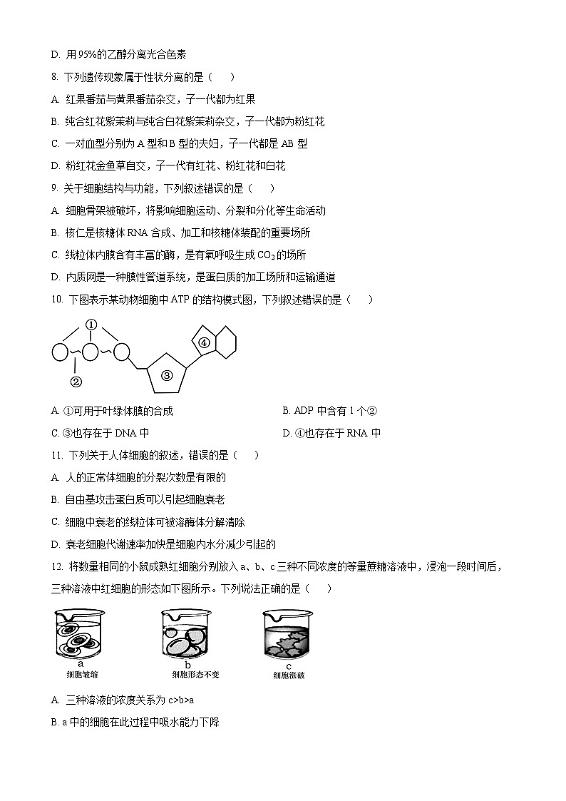 浙江省台州市台州六校2023-2024学年高一下学期4月期中生物试题（原卷版+解析版）02