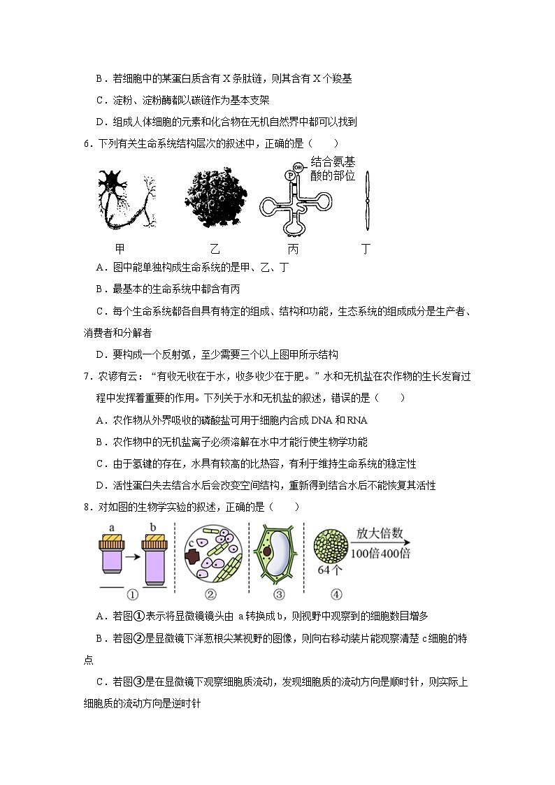 2022-2023学年广东省深圳市罗湖区翠园中学高二（下）期中生物试卷02