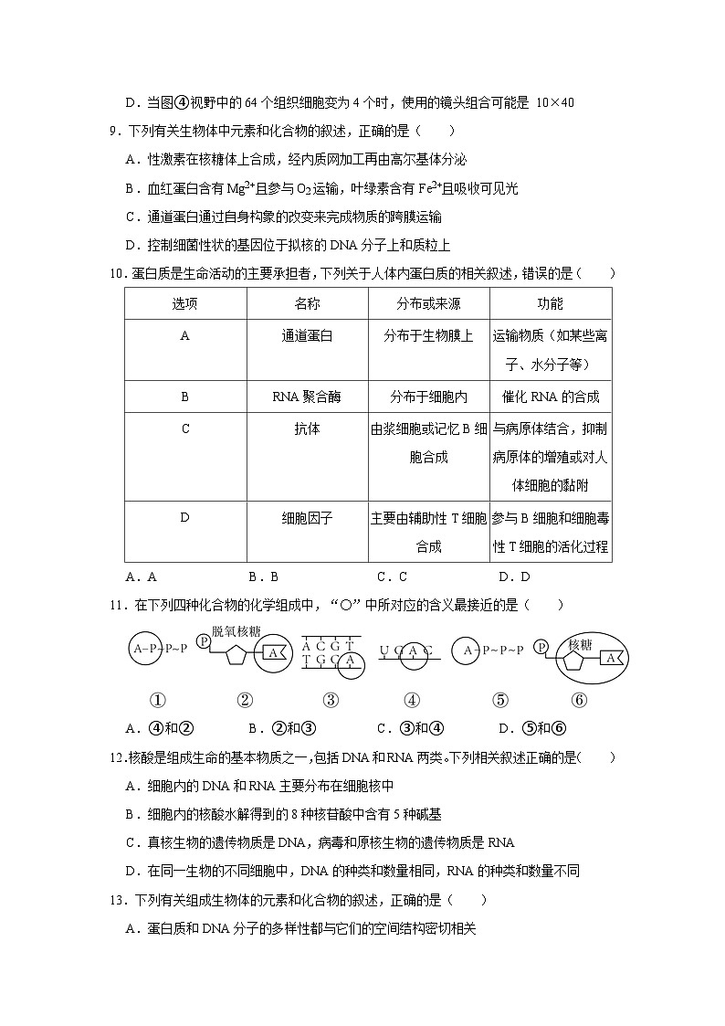 2022-2023学年广东省深圳市罗湖区翠园中学高二（下）期中生物试卷03