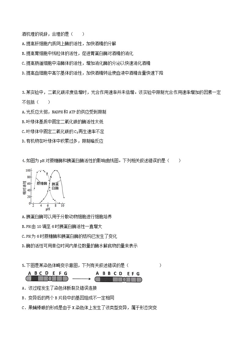 黄金卷04（考试版）-【赢在高考·黄金8卷】备战2024年高考生物模拟卷（广东专用）第2页