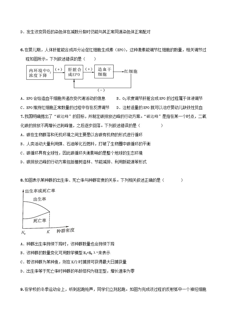 黄金卷04（考试版）-【赢在高考·黄金8卷】备战2024年高考生物模拟卷（广东专用）第3页