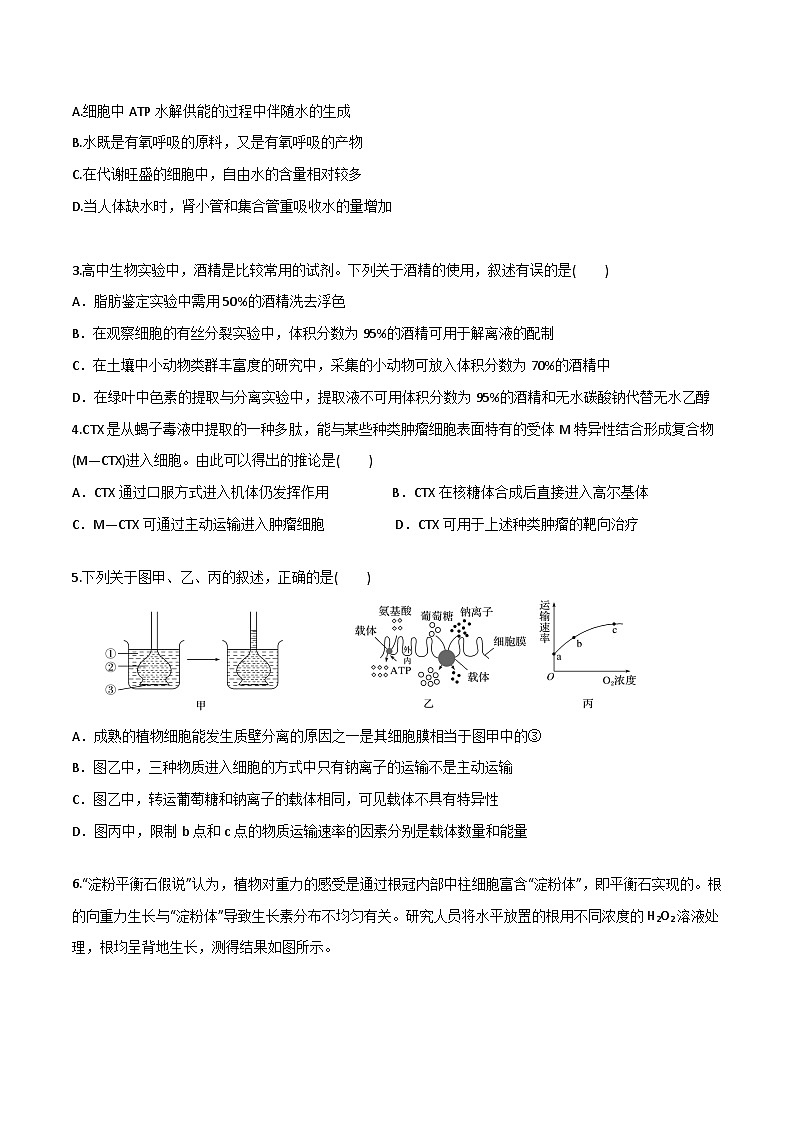 模拟卷05-【赢在高考·模拟8卷】备战2024年高考生物模拟卷（广东专用）02
