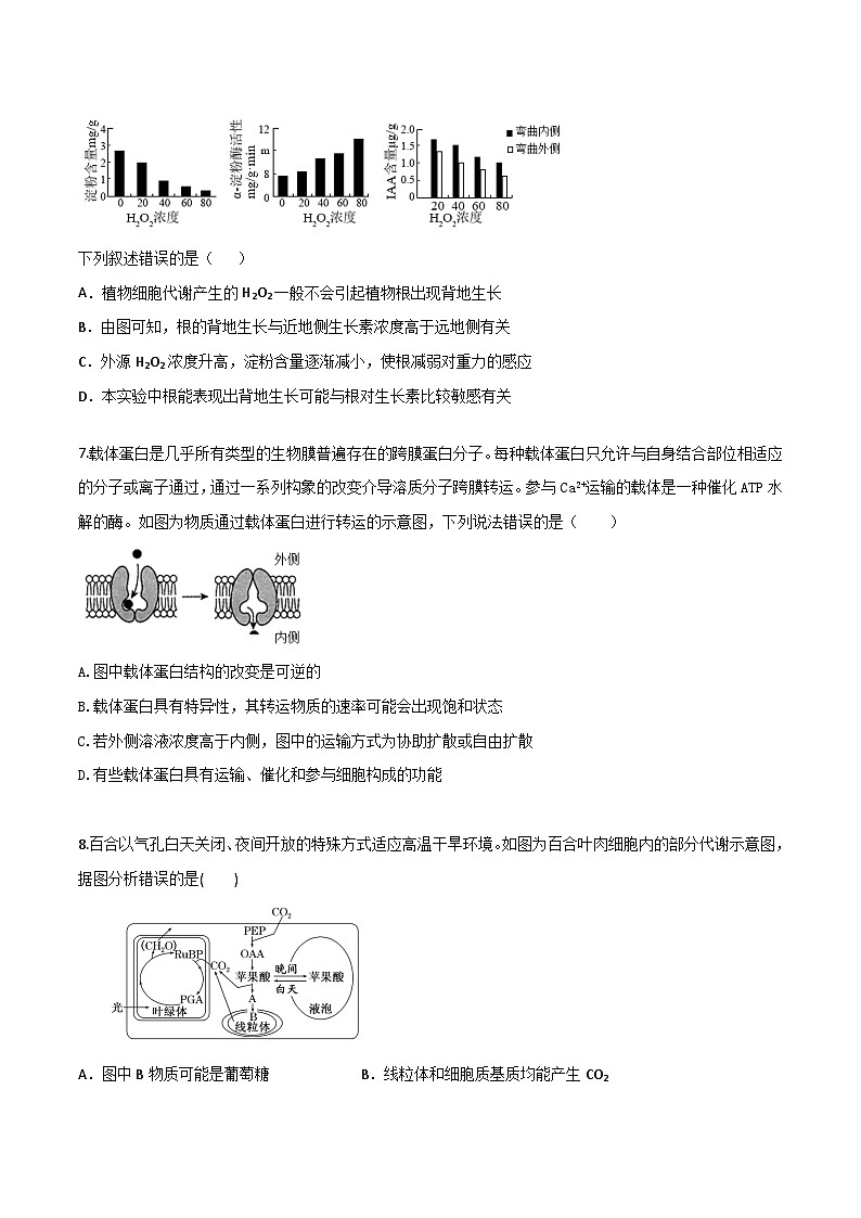 模拟卷05-【赢在高考·模拟8卷】备战2024年高考生物模拟卷（广东专用）03
