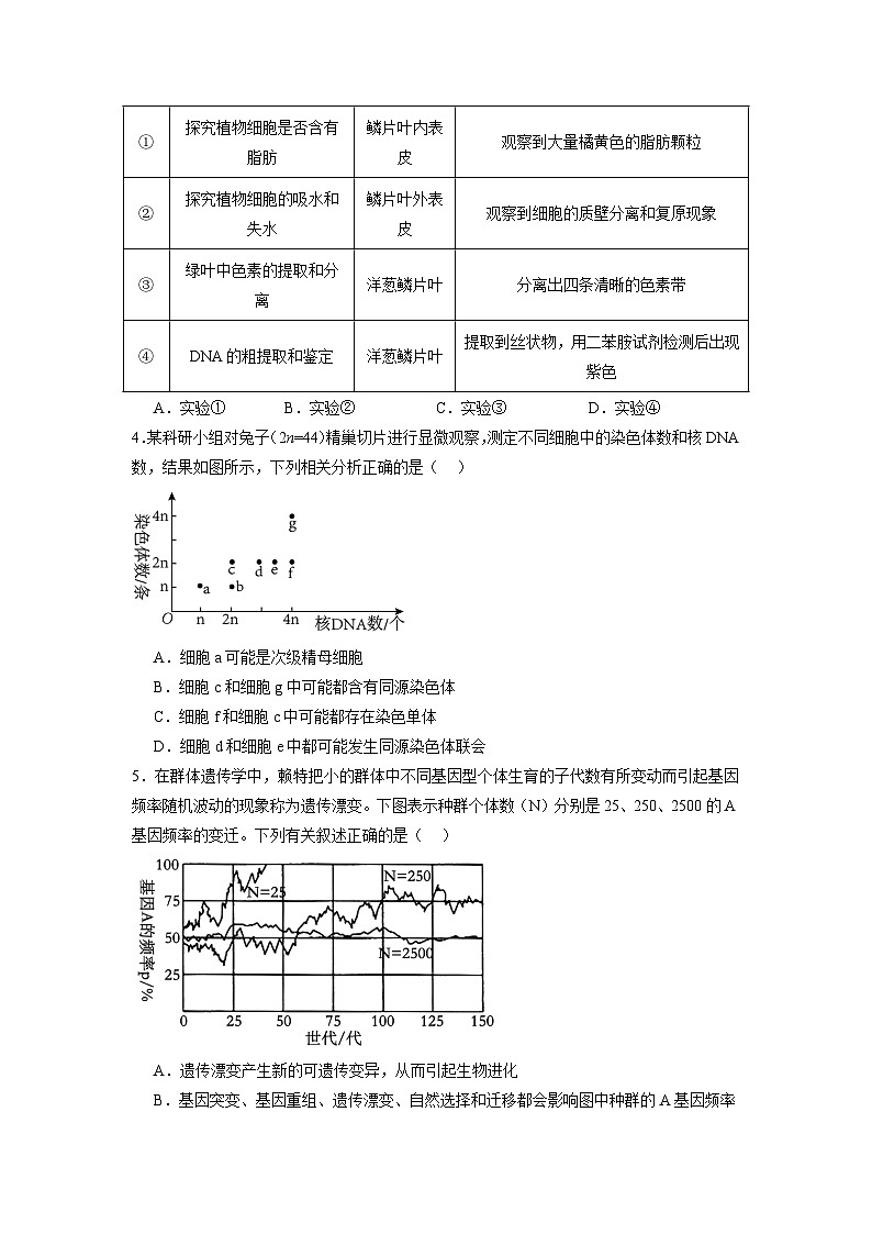 模拟卷04-【赢在高考·模拟8卷】备战2024年高考生物模拟卷（江苏专用）02