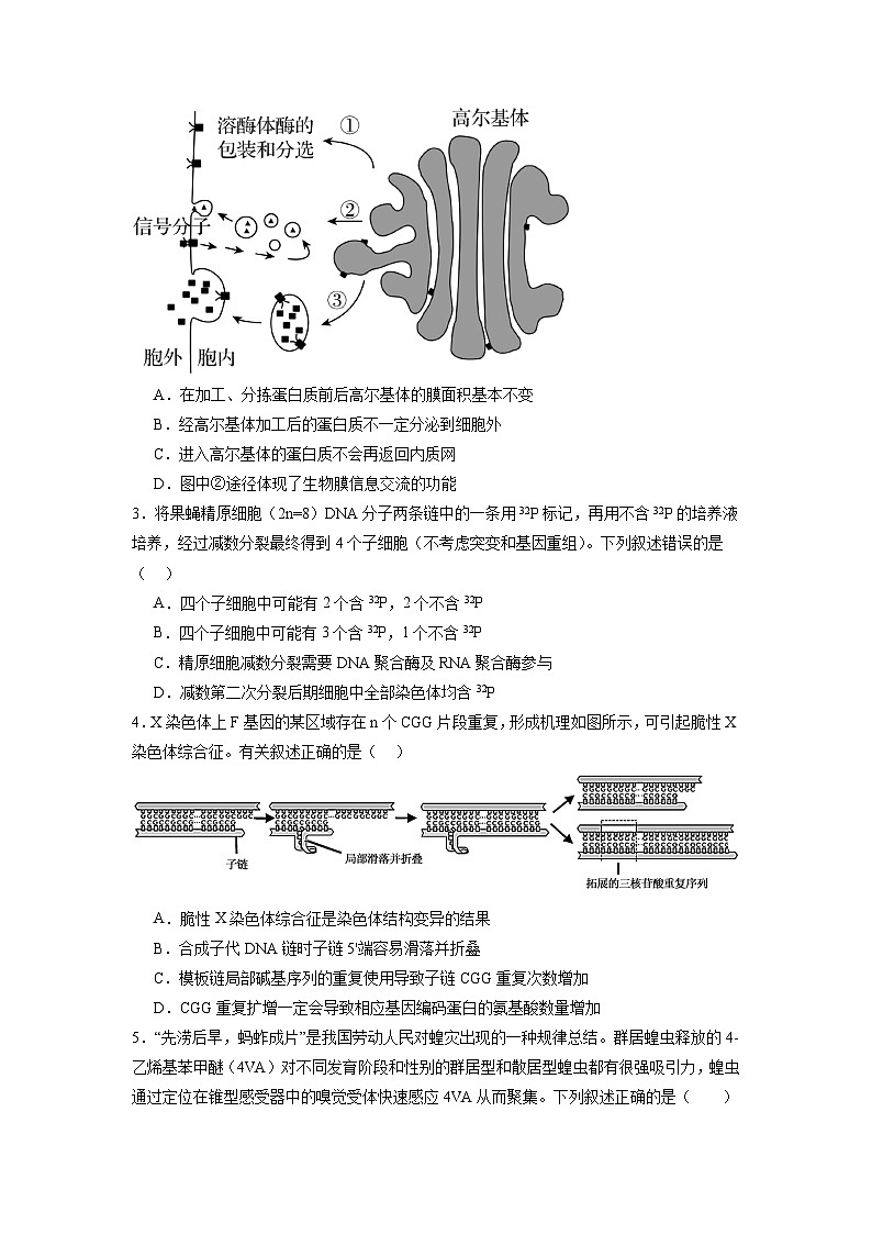 模拟卷05-【赢在高考·模拟8卷】备战2024年高考生物模拟卷（江苏专用）02