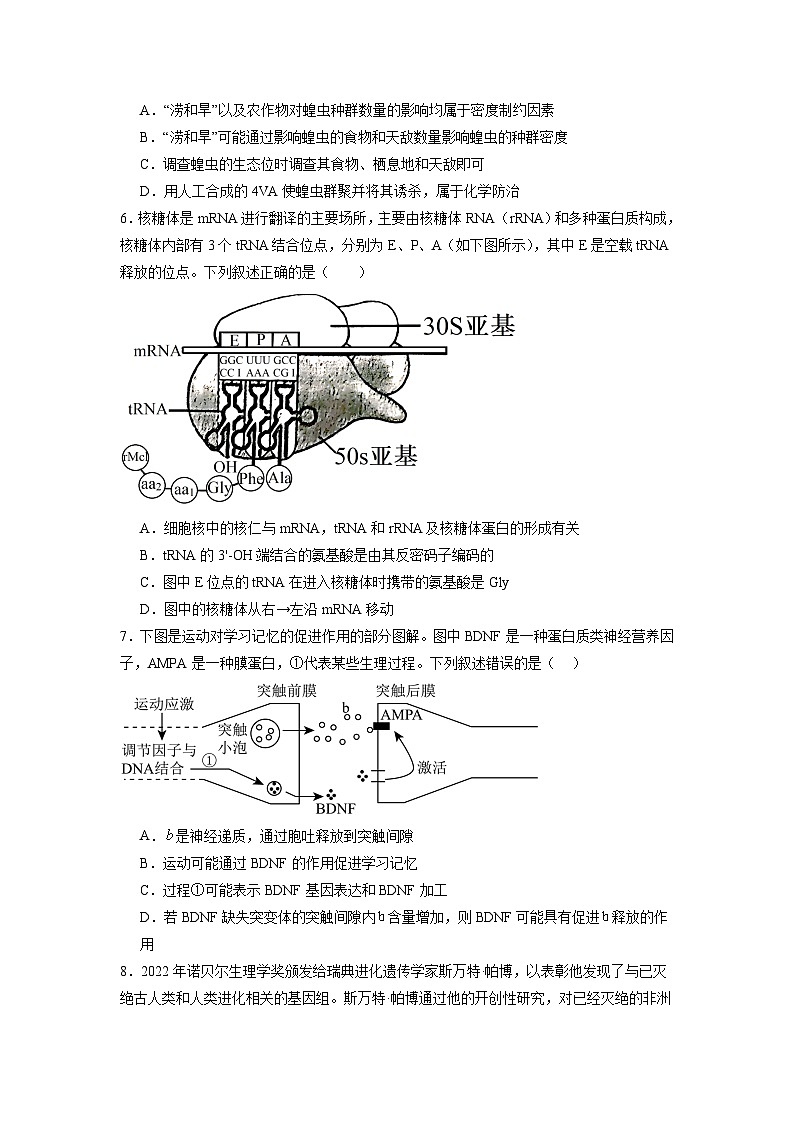 模拟卷05-【赢在高考·模拟8卷】备战2024年高考生物模拟卷（江苏专用）03