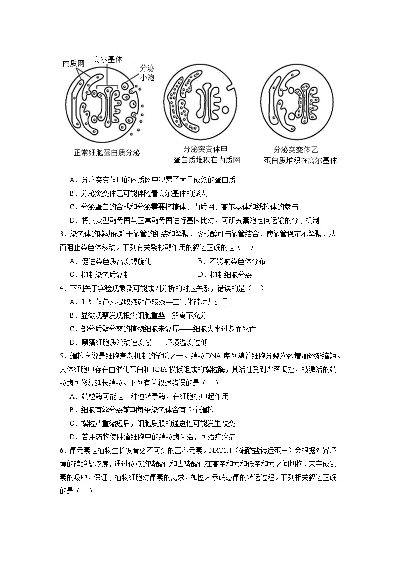 模拟卷06-【赢在高考·模拟8卷】备战2024年高考生物模拟卷（江苏专用）02