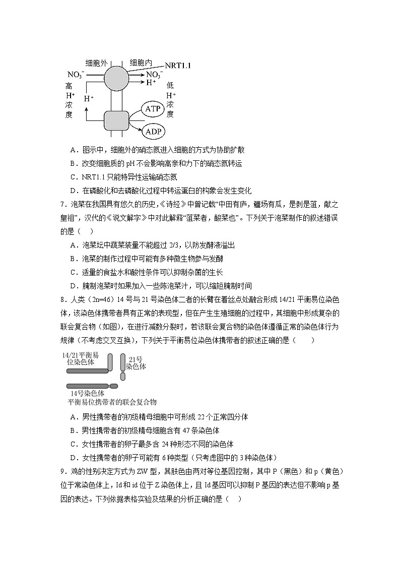模拟卷06-【赢在高考·模拟8卷】备战2024年高考生物模拟卷（江苏专用）03