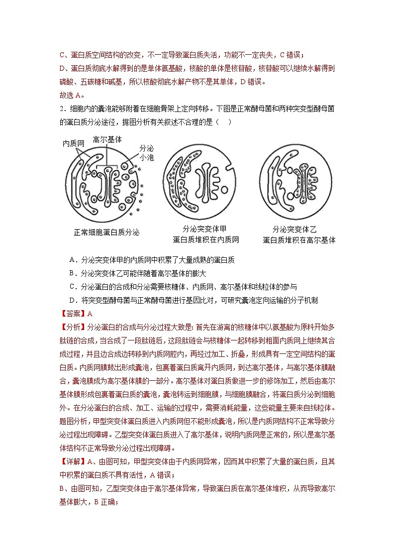 模拟卷06-【赢在高考·模拟8卷】备战2024年高考生物模拟卷（江苏专用）02