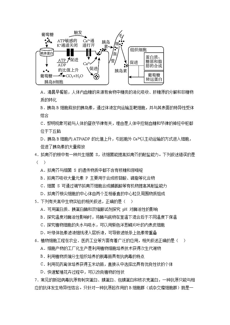 模拟卷07-【赢在高考·模拟8卷】备战2024年高考生物模拟卷（江苏专用）02