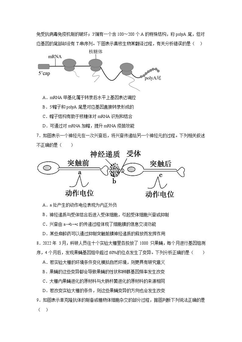 模拟卷08-【赢在高考·模拟8卷】备战2024年高考生物模拟卷（江苏专用）03