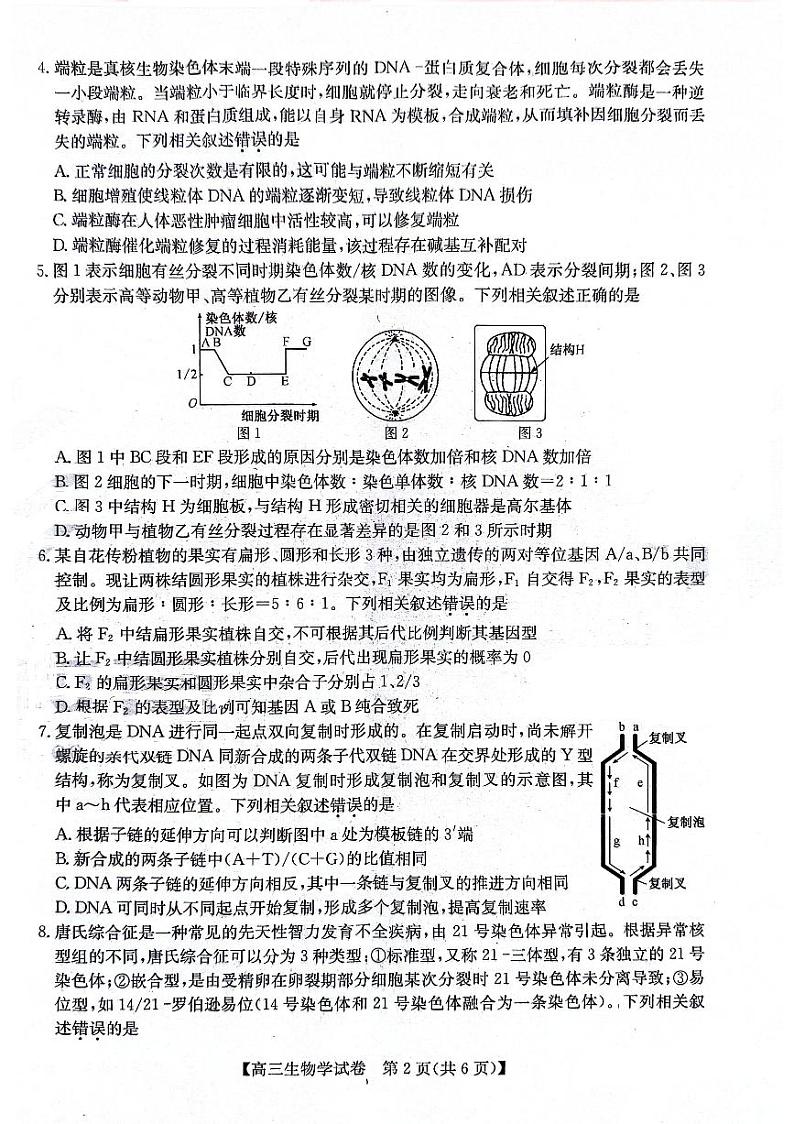 2024届安徽省合肥市高三下学期适应性联考生物试题第2页