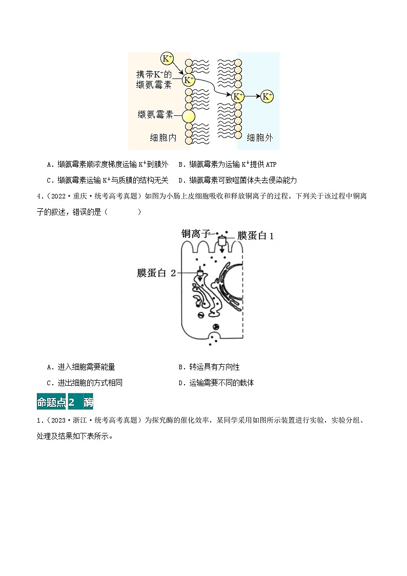 专题02 物质进出细胞、酶和ATP--三年（2021-2023）高考生物真题分项汇编（全国通用）03