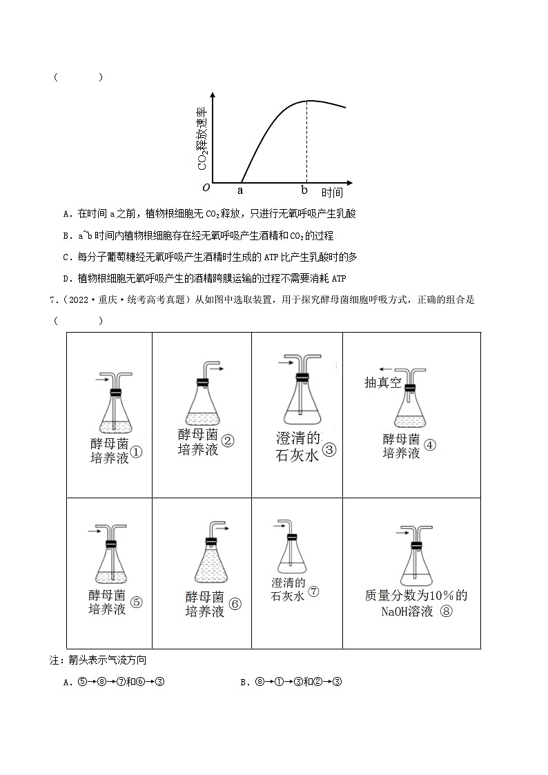 专题03 细胞呼吸与光合作用--三年（2021-2023）高考生物真题分项汇编（全国通用）03
