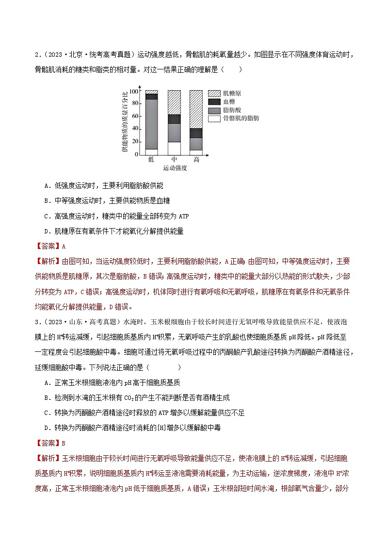 专题03 细胞呼吸与光合作用--三年（2021-2023）高考生物真题分项汇编（全国通用）02