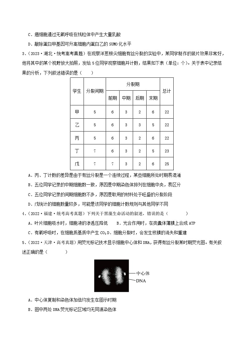 专题04 有丝分裂和减数分裂--三年（2021-2023）高考生物真题分项汇编（全国通用）02