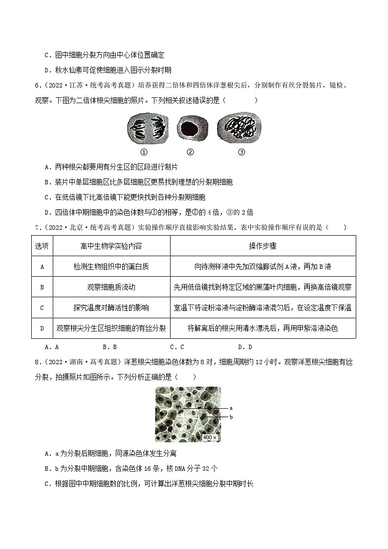 专题04 有丝分裂和减数分裂--三年（2021-2023）高考生物真题分项汇编（全国通用）03