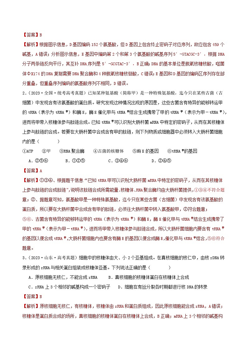 专题08 基因表达--三年（2021-2023）高考生物真题分项汇编（全国通用）02