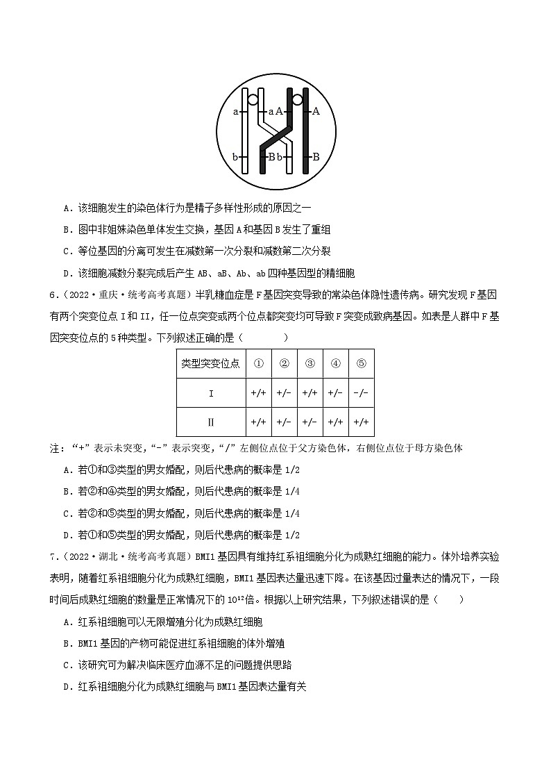 专题10 变异与进化--三年（2021-2023）高考生物真题分项汇编（全国通用）03