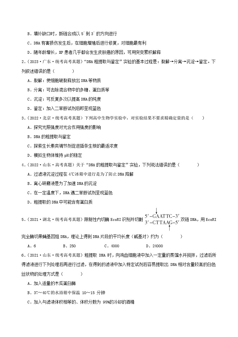 专题20 基因工程--三年（2021-2023）高考生物真题分项汇编（全国通用）02