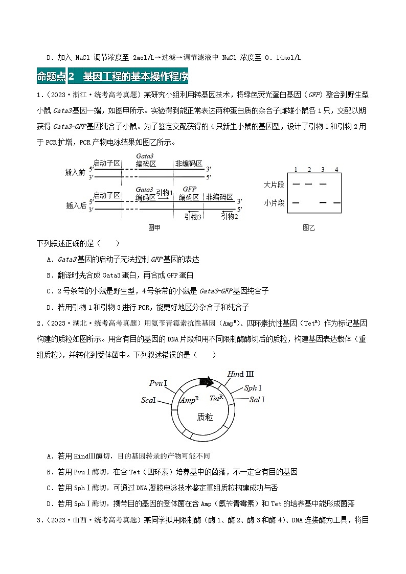 专题20 基因工程--三年（2021-2023）高考生物真题分项汇编（全国通用）03