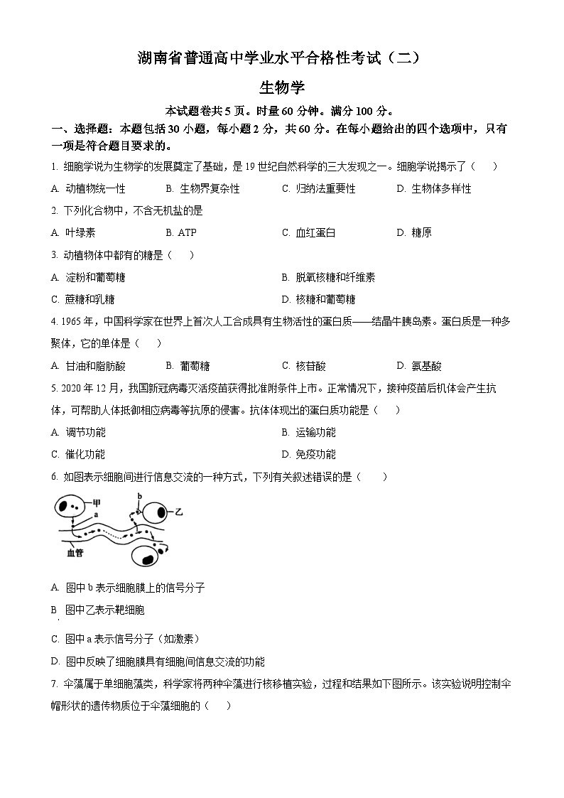 湖南省2024年普通高中学业水平合格性模拟考试生物仿真卷（二） Word版无答案第1页