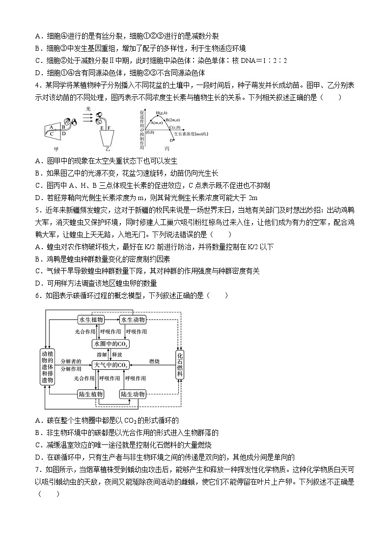 湖南省湖湘教育三新探索协作体2023-2024学年高二下学期期中联考生物试卷（Word版附解析）02