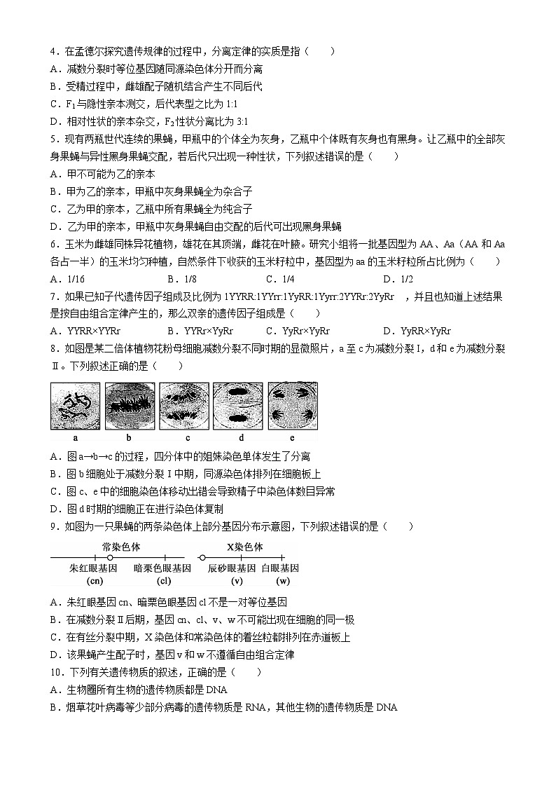 湖南省湘楚名校2023-2024学年高一下学期期中联考生物试卷（Word版附解析）02