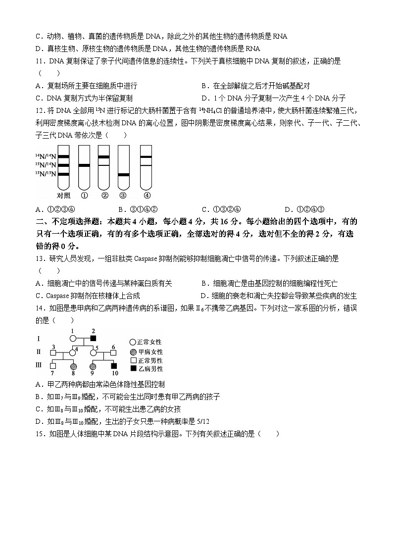 湖南省湘楚名校2023-2024学年高一下学期期中联考生物试卷（Word版附解析）03