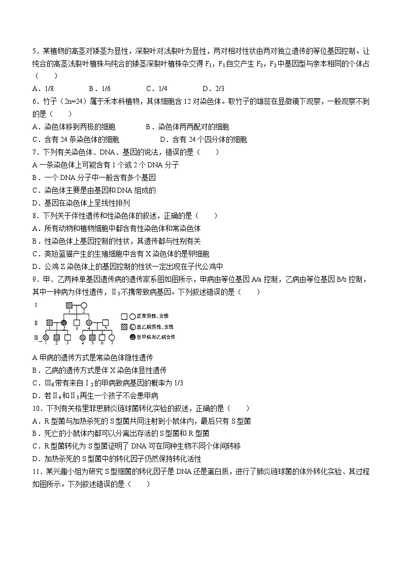 吉林省八校2023-2024学年高一下学期5月期中考试生物试卷（Word版附答案）第2页