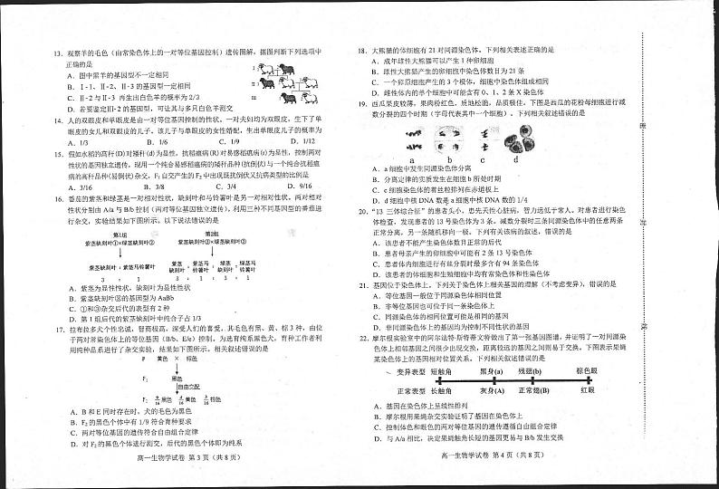 河北省唐山市2023-2024学年高一下学期5月期中生物试题02