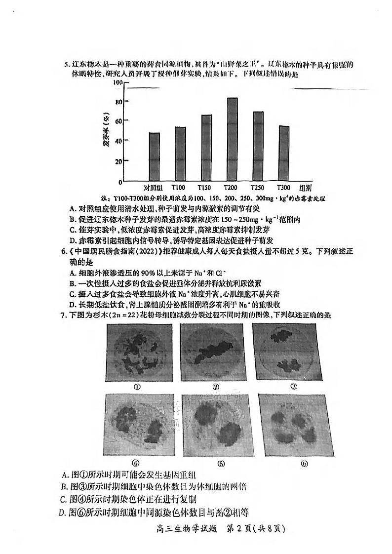 2024厦门高三下学期第四次质量检测试题生物PDF版含答案02