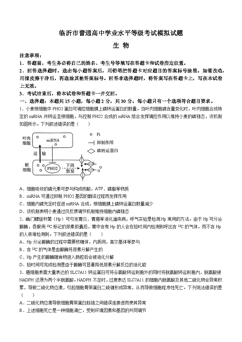 2024临沂高三下学期二模试题生物含答案01
