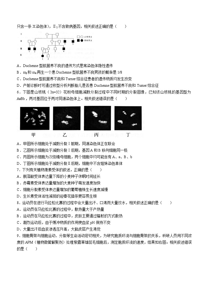 2024南通、扬州、泰州等苏北七高三下学期第三次调研试题（南通三模）生物含答案02