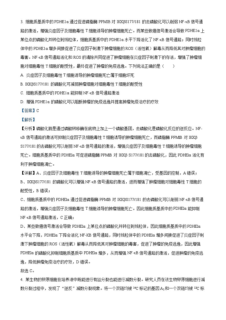 2024届山东省实验中学高三下学期5月针对性考试生物试题（解析版）第3页