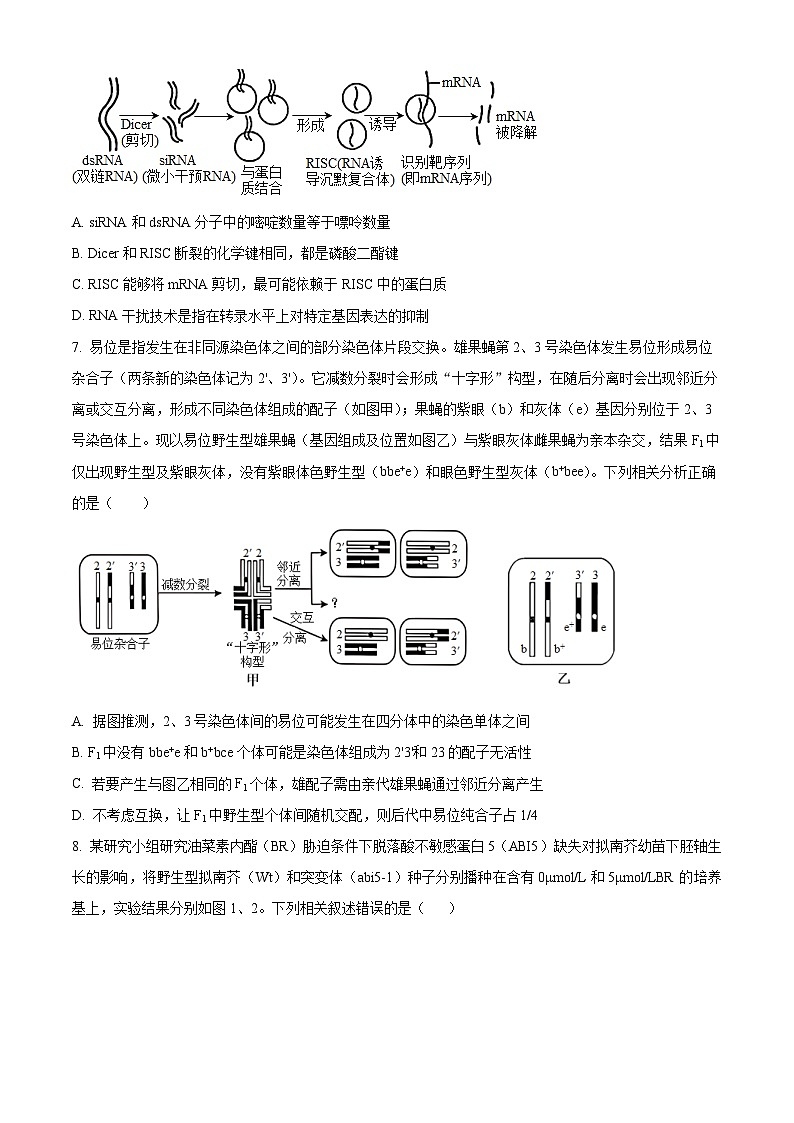 2024届山东省实验中学高三下学期5月针对性考试生物试题（原卷版）第3页