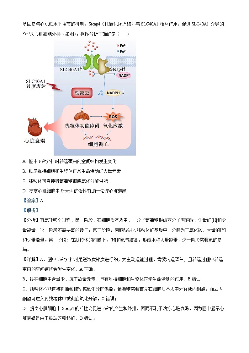 江苏省泰安市2023—2024学年高三下学期二模考试生物试题（解析版）第2页