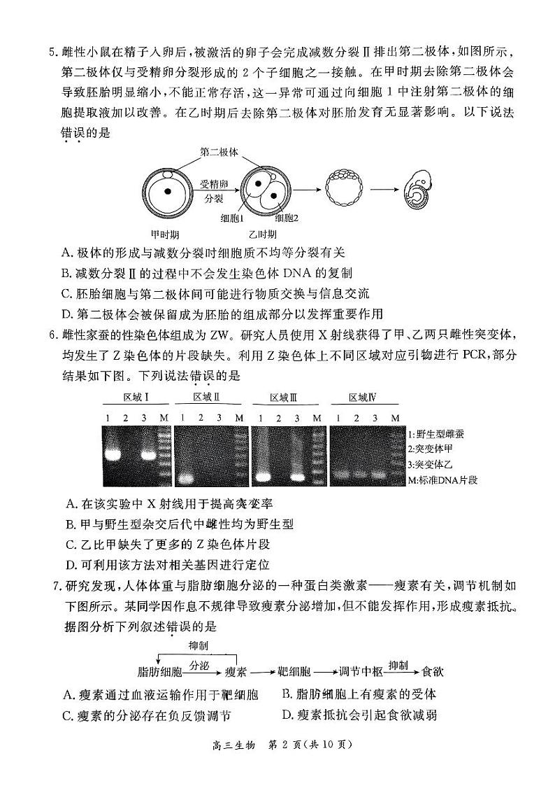 2024北京东城高三二模生物试题及答案第2页