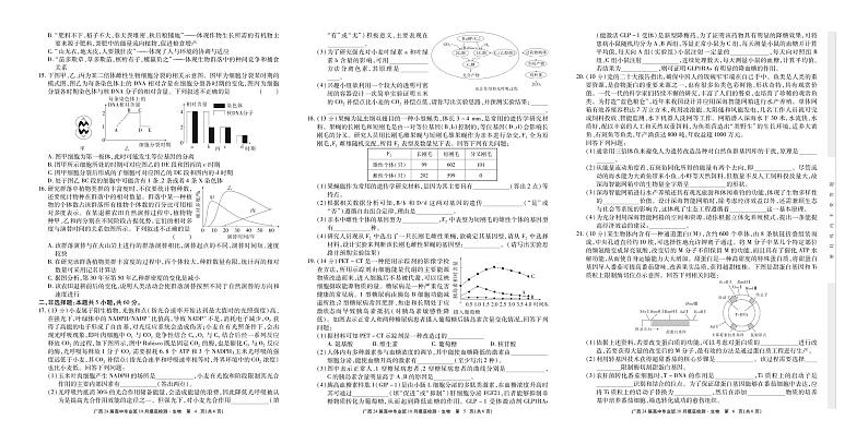 2024届广西高三第一次摸底生物检测试题02