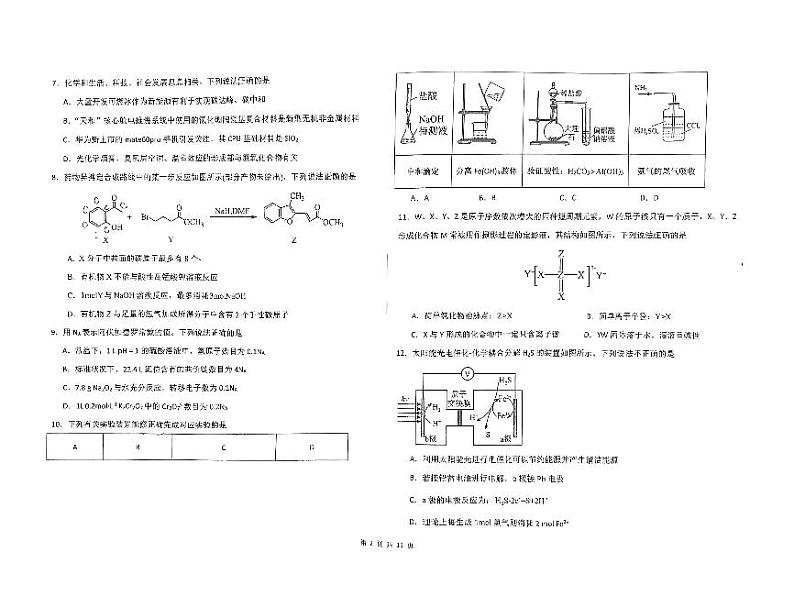 2024届宁夏回族自治区银川一中高三三模生物试题02