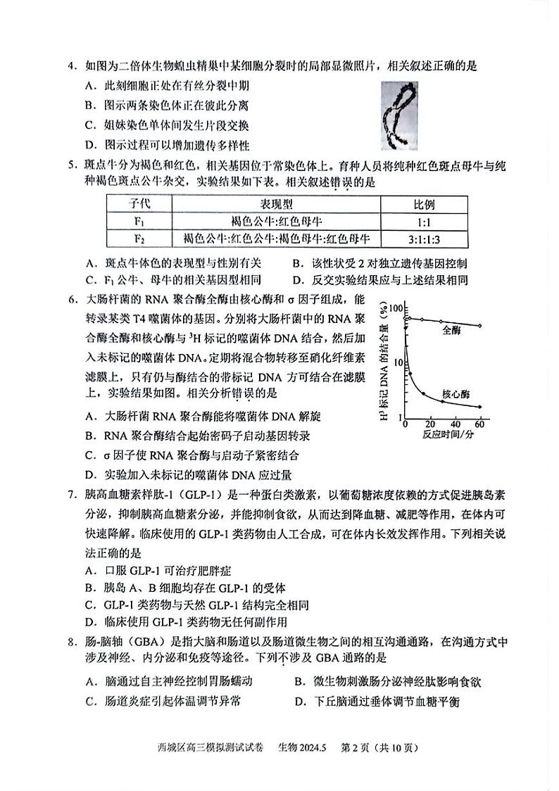 北京市西城区2024届高三下学期二模试题生物PDF版含答案02